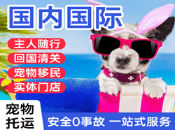 唐山航空快递国际宠物托运 【国